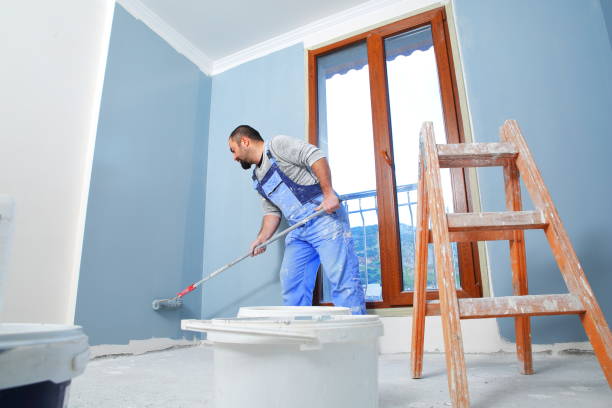 Hillsboro, WI Mold Removal Company