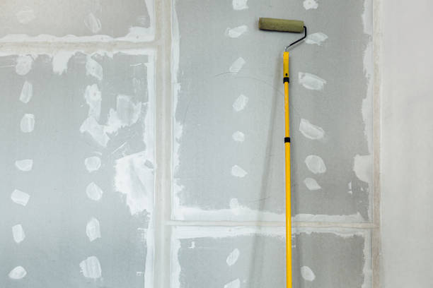 Best Mold Documentation for Insurance Claims  in Hillsboro, WI
