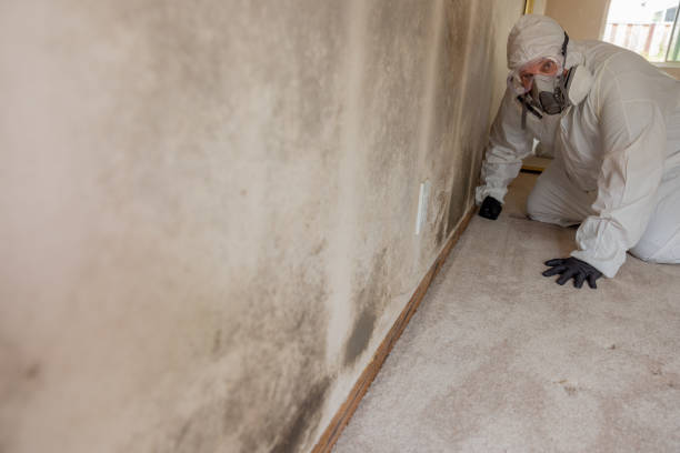 Best Airborne Mold Testing  in Hillsboro, WI